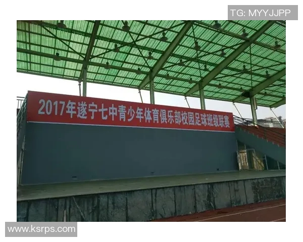 关于申请成立学校体育俱乐部的相关事项及流程说明